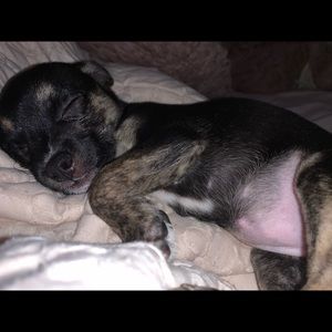 Meet your Posher, Amya